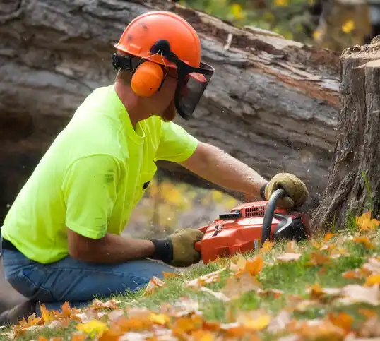 tree services Elmer